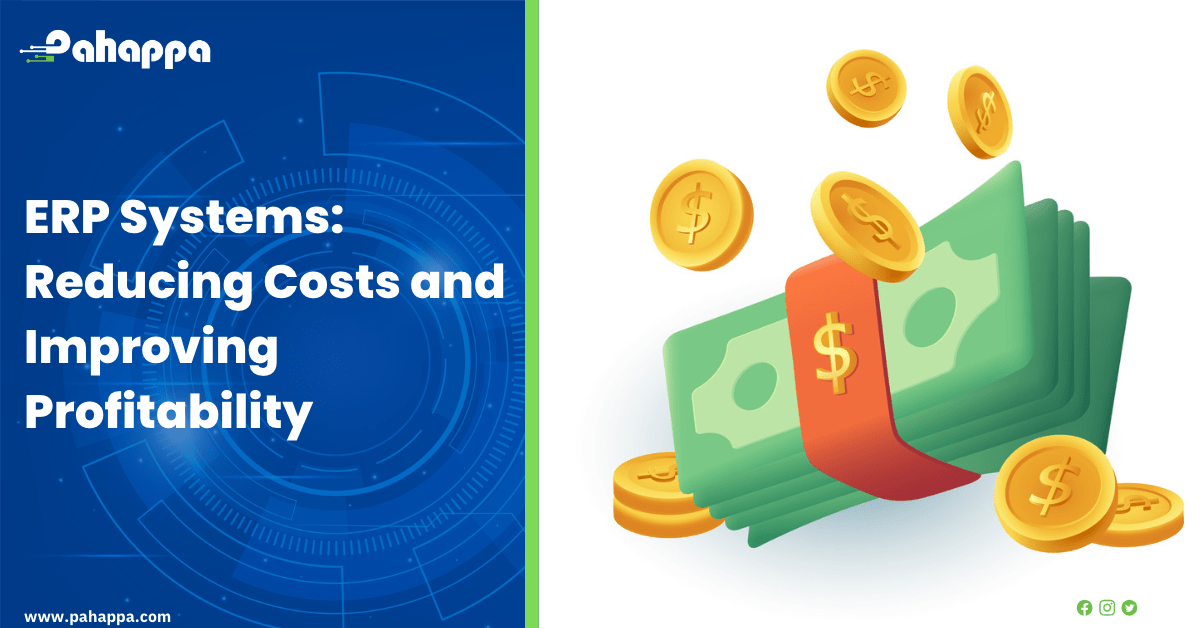 ERP Systems: Reducing Costs and Improving Profitability