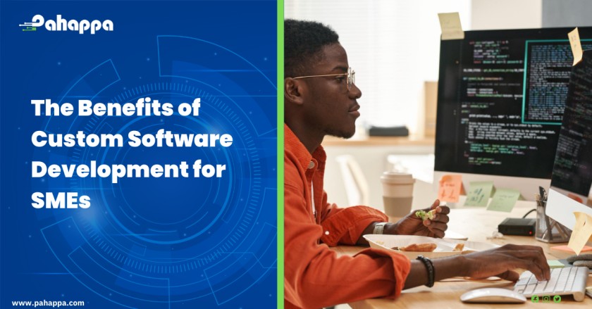The Benefits of Custom Software Development for SMEs