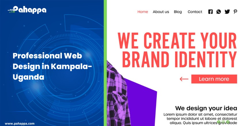 Professional Web Design in Kampala-Uganda