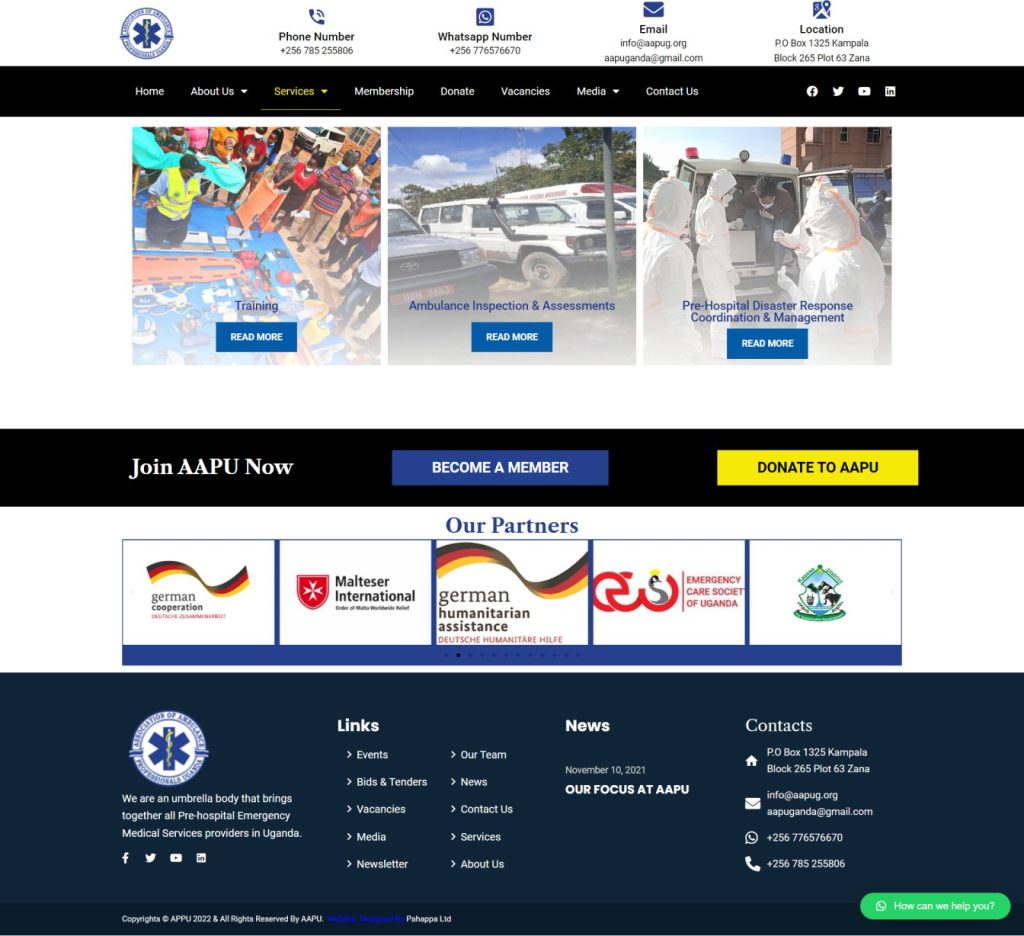 Website-design-aapu-2